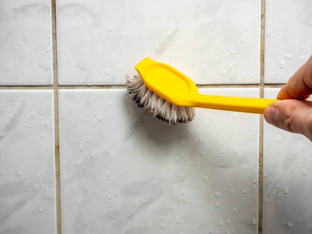 Best Attic Mold Removal  in Marthasville, MO