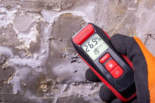 Attic Mold Removal in Marthasville, MO
