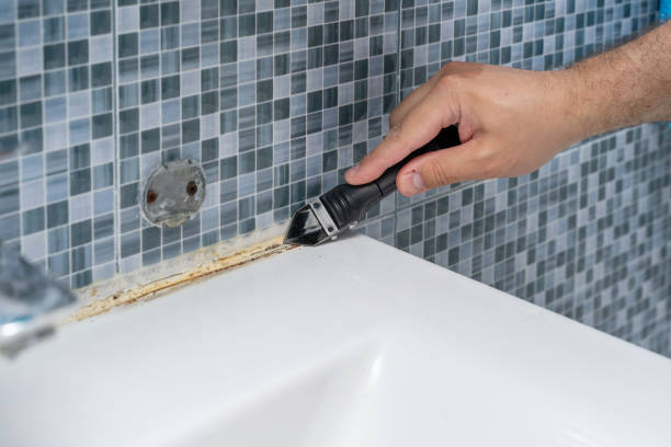 Best Mold Remediation  in Marthasville, MO