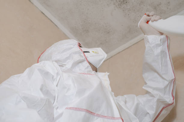 Best Mold Testing  in Marthasville, MO
