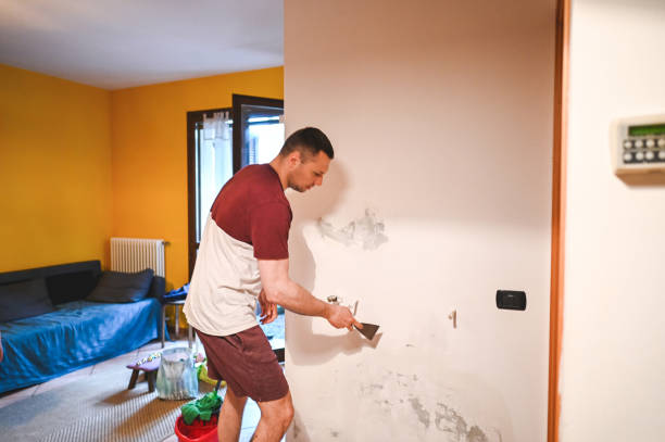 Best Black Mold Removal  in Marthasville, MO